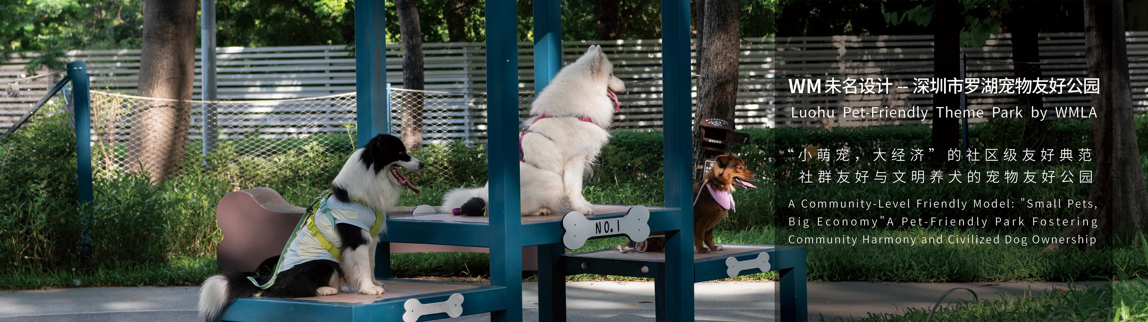 未名/揮爪新作首發 I 城市的溫度，萌寵們知道--深圳市羅湖寵物友好公園